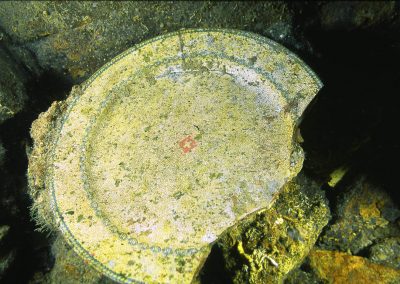 A Dinner Plate from the SS Bega